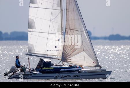 Più libera, Germania. 02 luglio 2020. Una barca a vela è sulla sua strada sul Greifswald Bodden sotto il sole animale. Credit: Jens Büttner/dpa-Zentralbild/ZB/dpa/Alamy Live News Foto Stock