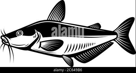 Illustrazione del pesce gatto in stile di incisione. Elemento di design per logo, etichetta, cartello, poster, t-shirt. Illustrazione vettoriale Illustrazione Vettoriale