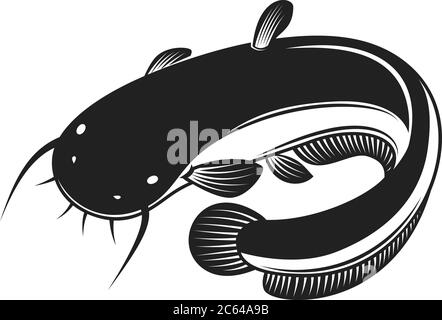 Illustrazione del pesce gatto in stile di incisione. Elemento di design per logo, etichetta, cartello, poster, t-shirt. Illustrazione vettoriale Illustrazione Vettoriale