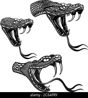 Set di illustrazioni di teste di serpente velenoso in stile di incisione. Elemento di design per logo, etichetta, cartello, poster, t-shirt. Illustrazione vettoriale Illustrazione Vettoriale