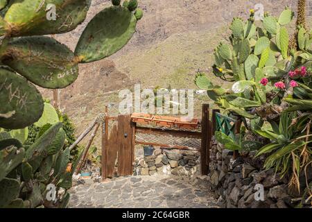 I percorsi attraverso il villaggio normalmente occupato con turisti in visita sono vuoti dopo il covid 19 Lockdown, Masca, Tenerife, Isole Canarie Foto Stock