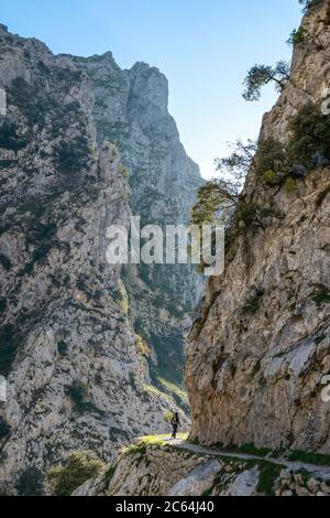 Escursioni in ruta del Cares a Picos de Europa Foto Stock
