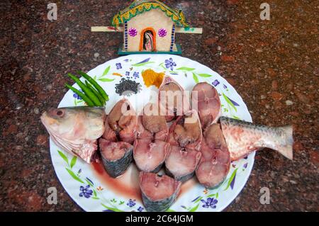 il pesce ilish famoso in tutto il mondo del fiume padma del bangladesh Foto Stock