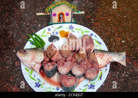 il pesce ilish famoso in tutto il mondo del fiume padma del bangladesh Foto Stock