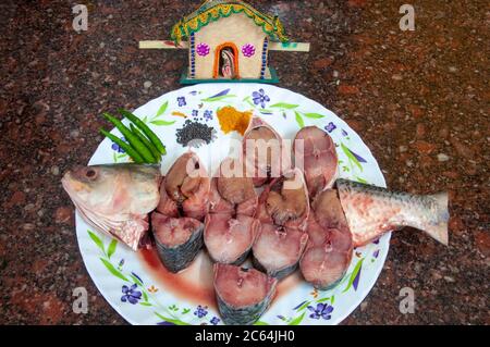 il pesce ilish famoso in tutto il mondo del fiume padma del bangladesh Foto Stock