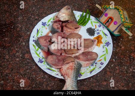 il pesce ilish famoso in tutto il mondo del fiume padma del bangladesh Foto Stock