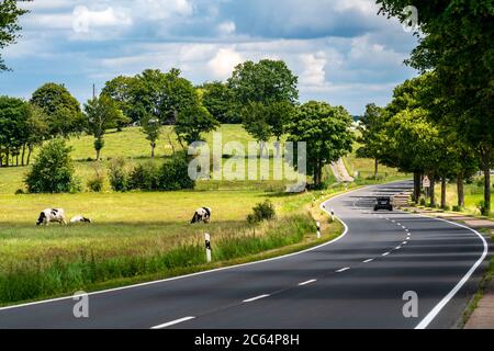 Strada di campagna vicino Kesternich, curve, Eifel, NRW, Germania, Foto Stock