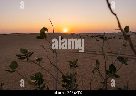 Paesaggi panoramici del deserto di Dubai durante il tramonto Foto Stock