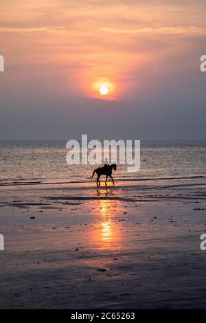Paesaggio e attività della gente del posto in Kutch Gujarat India Foto Stock