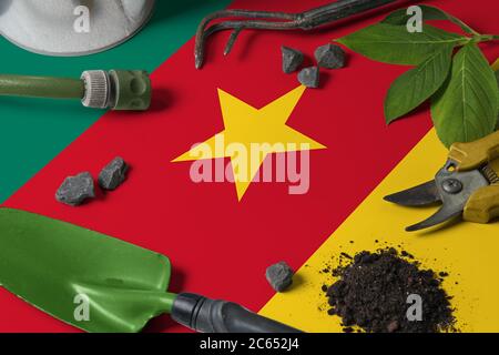 Bandiera Camerun con attrezzi da giardinaggio sullo sfondo del tavolo. Primavera nel giardino con spazio libero per la copia. Foto Stock