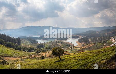 Giardini da tè che si affacciano su un lago sotto il cielo nuvoloso di coonoor Foto Stock