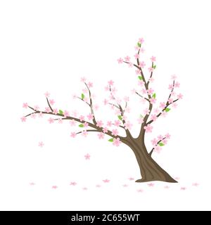 Albero Sakura piano vettoriale isolato. Ciliegio con fiori su sfondo bianco Illustrazione Vettoriale