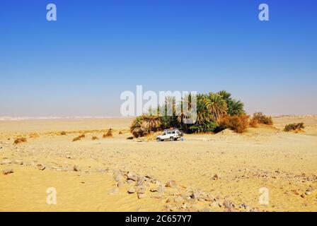 EGITTO, SAHARA - DEC 26, 2008: Auto fuoristrada nel deserto del Sahara vicino a una piccola oasi verde. Il safari estremo nel deserto è uno dei principali turisti locali Foto Stock