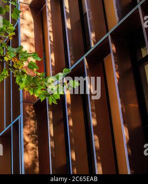 The Beecroft Building a Oxford, parte del Dipartimento di fisica dell'Università di Oxford, inaugurato nel 2018 da Sir Tim Berners-Lee. Progettato da Hawkins Brown Foto Stock