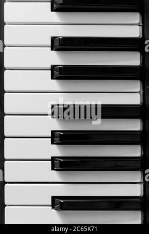 Primo piano tasti in bianco e nero, piano, tastiera, fisarmonica Foto Stock