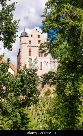 Castello di Alzenau in Baviera. Luoghi storici in Germania. Estate in città. Vista sul castello bavarese. Foto Stock