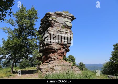 Die Burgruine Anebos, mittelalterliche Felsenburg oberhalb von Annweiler am Trifels, Rheinland-Pfalz Foto Stock