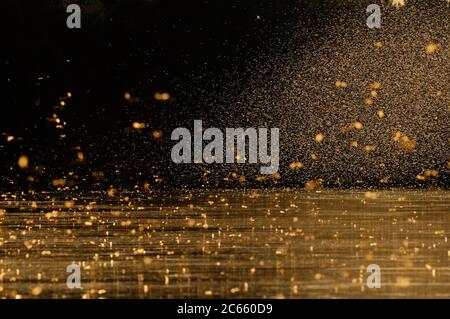 Subito dopo l'accoppiamento le mayflies femmina a coda lunga (Palingeni a longicauda) si innalzano nell'aria dove formano enormi nubi e sono fuori interesse per i maschi ancora in cerca di compagni vicino alla superficie dell'acqua. Foto Stock