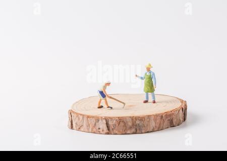Piantatrice piccola in piedi su un palo di legno Foto Stock