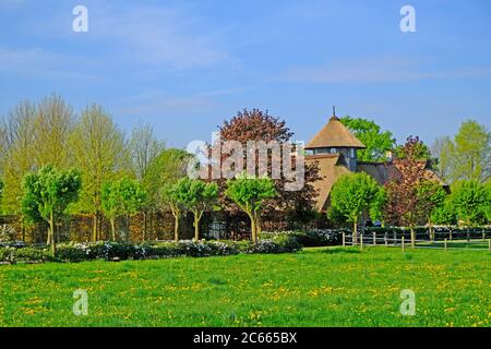 Germania, bassa Sassonia, Wagenfeld-Ströhen, Ströhen, villaggio, proprietà, proprietà, residenza Foto Stock