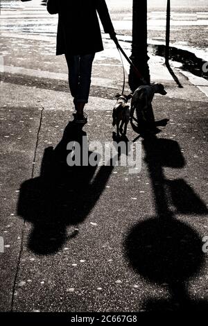 Foto notturna a Parigi, Francia Foto Stock