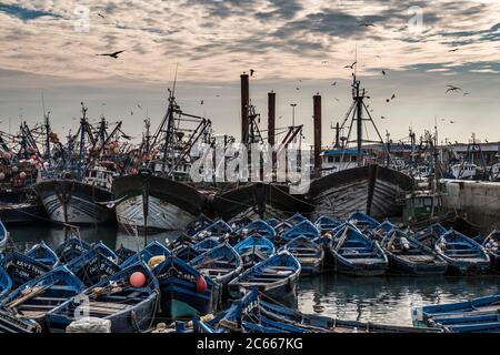 Barche da pesca blu nel porto di Essaouira Foto Stock