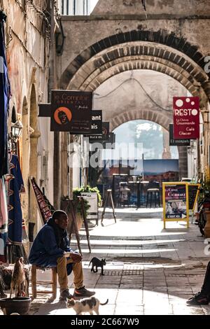 Vicolo a Essaouira, uomo e gatti di fronte a un negozio Foto Stock