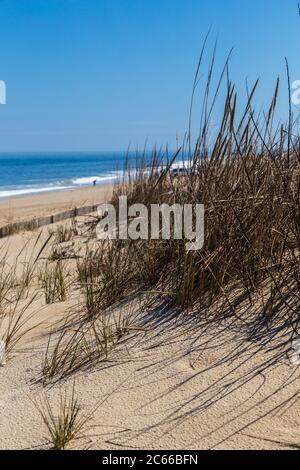 Rehoboth Beach, DE, USA - 18 aprile 2015: Mare sulla spiaggia di Delaware sull'Oceano Atlantico. Foto Stock