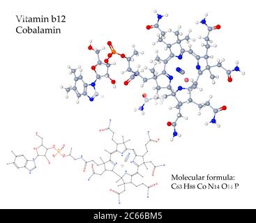 La cobalamina della vitamina B12 è essenziale per la sintesi dei globuli rossi da parte del midollo osseo. Le fonti di cibo sono prodotti animali come carne, latte, uova Foto Stock