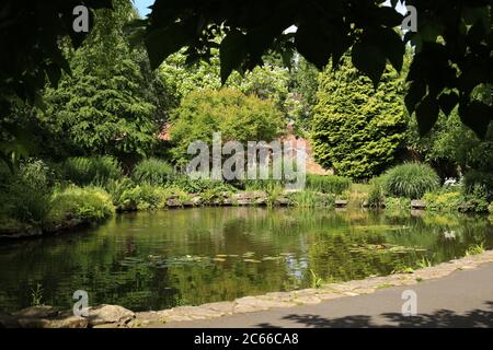 Pond nei giardini del giubileo della Regina Elisabetta II, Bewdley, Worcestershire, Inghilterra, UK. Foto Stock