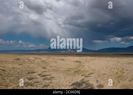 Nel deserto di Mojave in California, Stati Uniti Foto Stock