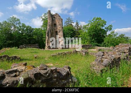 Rovine del castello di Dagstuhl vicino a Wadern, Saarland Foto Stock