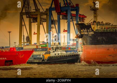 Germania, Amburgo, Övelgönne, fiume Elba, porto, terminal container, HHLA (Hamburger Hafen und Logistik AG), Burchardkai Wharf, nave container Foto Stock