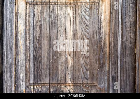 Porta in legno con una texture e linee affilate Foto Stock