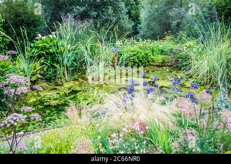 Un laghetto giardino, ideale per la fauna selvatica, circondato da una vegetazione lussureggiante. Foto Stock