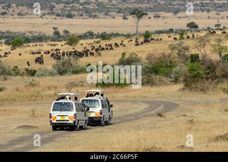 MASAI MARA, KENYA - 21 AGOSTO 2010: Safari game drive su furgoni safari con tetto aperto a Masai Mara. Agosto è una stagione di picco per la migrazione degli animali in Thi Foto Stock