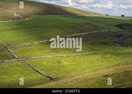 Macchie di sole su campi orlati da pareti di pietra a secco, Narrowdale, Peak District National Park, Staffordshire Foto Stock