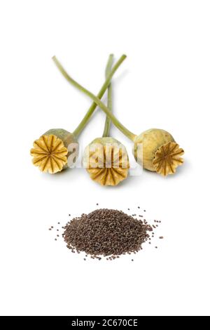 Teste di papavero asciugate con seme di papavero isolato su sfondo bianco Foto Stock