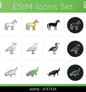 Diverse specie animali set di icone. Stili di colore lineare, nero e RGB. Cavallo selvatico, gabbiano e alligatore. Uccello comune, animale di terra e semiacquatico cr Illustrazione Vettoriale