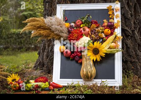 Ancora vita con verdure, frutta, girasole e spighe di mais. Immagine della natura Foto Stock