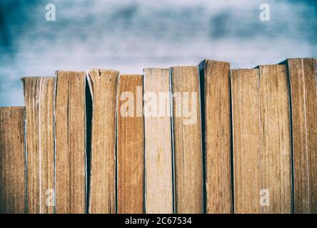 Uno scaffale pieno di libri cartacei vecchi Foto Stock