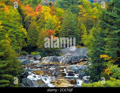 Cascate di Blue Ridge, Adirondack Mountains Foto Stock