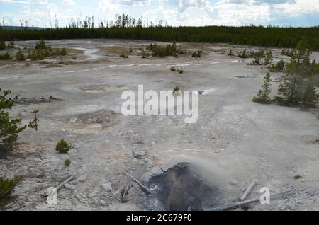 Primavera nel Parco Nazionale di Yellowstone: Blue Mud Steam Vent, Muddy Sneaker Complex e Hydrophane Springs nella zona Back Basin del Norris Geyser Basin Foto Stock