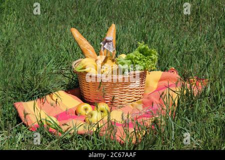 Cestino per un picnic con bottiglia di vino, frutta e pagnotte sul prato verde Foto Stock