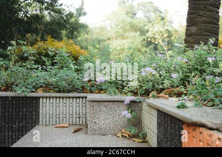 Scalini e scale in marmo di pietra Park panca di un parco pubblico decorato con piante floreali. Elementi di design verdi del cortile anteriore o posteriore di un residence Foto Stock