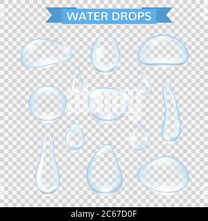 Gocce d'acqua. Gocce realistiche di pioggia d'acqua isolate su sfondo trasparente. Bolle d'acqua pura vettoriale sulla superficie del vetro della finestra. Illustrazione vettoriale Illustrazione Vettoriale