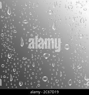 Acqua o pioggia cade sfondo. Gocce realistiche pure. Eliminare le bolle d'acqua sul vetro del finestrino. Concetto di condensazione a caduta. Illustrazione vettoriale. Illustrazione Vettoriale