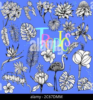 Grande set di disegni a mano di fiori tropicali, piante e fenicotteri isolati su sfondo blu. Illustrazione vettoriale. Illustrazione Vettoriale