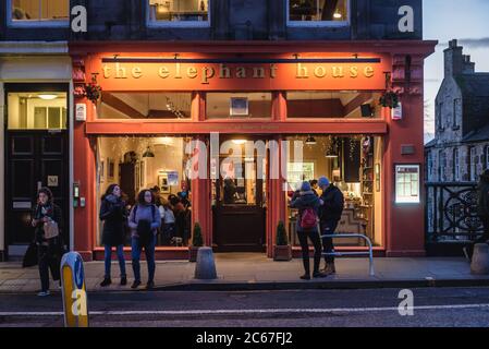 Il cosiddetto luogo di nascita di Harry Potter - Elephant House, famoso caffè a George IV Bridge Street a Edimburgo, la capitale della Scozia, parte del Regno Unito Foto Stock