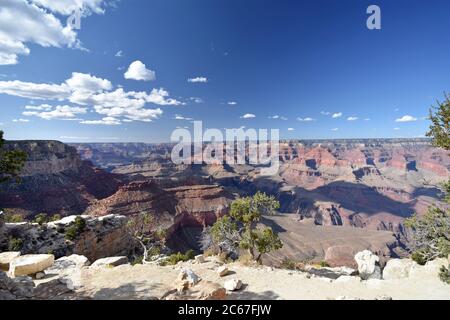 Una vista panoramica del Grand Canyon. Sono visibili formazioni rocciose rosse e alberi verdi vicino al bordo. Il sentiero del bordo sud è visibile in basso. Foto Stock